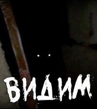 обложка аудиокниги ВИДИМ