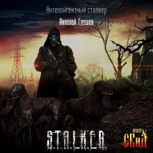 обложка аудиокниги S.T.A.L.K.E.R. Интеллигентный сталкер