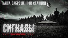обложка аудиокниги Сигналы