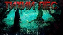 обложка аудиокниги Тихий лес