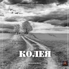 обложка аудиокниги Колея