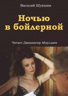 обложка аудиокниги Ночью в бойлерной