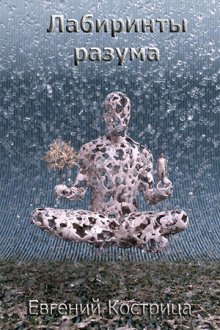 обложка аудиокниги Лабиринты разума