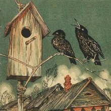 обложка аудиокниги Скворцы