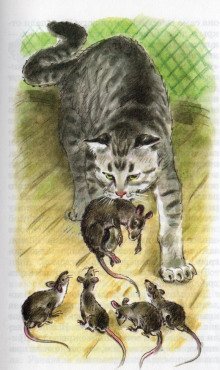 обложка аудиокниги Обыкновенная кошка