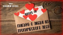 обложка аудиокниги Письма о любви из тропического леса