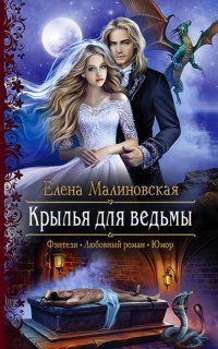 обложка аудиокниги Злоключения ведьмочки 3. Крылья для ведьмы