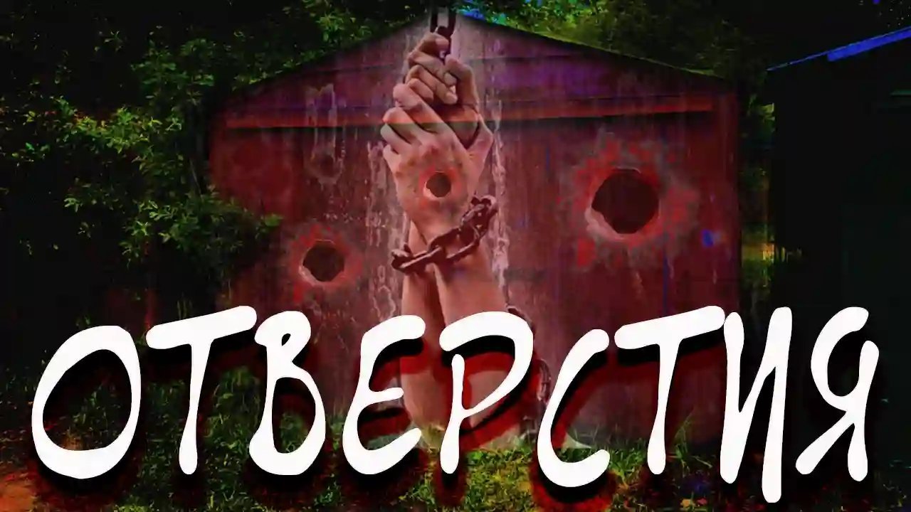 обложка аудиокниги Отверстия