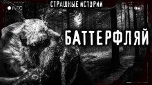 обложка аудиокниги Баттерфляй