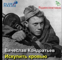 обложка аудиокниги Искупить кровью