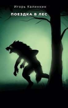 обложка аудиокниги Поездка в лес