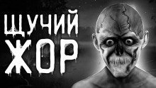 обложка аудиокниги Щучий жор