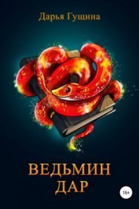 обложка аудиокниги Ведь мы – ведьмы! 3. Ведьмин дар