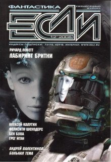 обложка аудиокниги Лабиринт Бритни