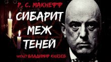 обложка аудиокниги Сибарит меж теней