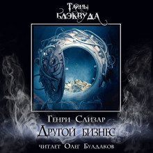 обложка аудиокниги Другой бизнес