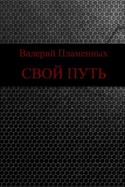 обложка аудиокниги Свой Путь