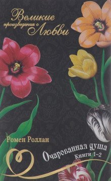 обложка аудиокниги Очарованная душа 4