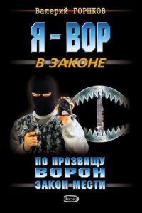 обложка аудиокниги По прозвищу Ворон 1. Закон мести