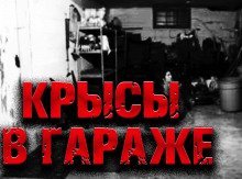 обложка аудиокниги Крысы в гараже