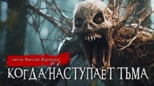 обложка аудиокниги Когда наступает тьма