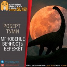 обложка аудиокниги Мгновенье вечность бережёт