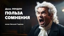 обложка аудиокниги Польза сомнения