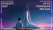 обложка аудиокниги Лето упавшей звезды