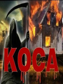 обложка аудиокниги Коса