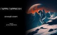 обложка аудиокниги Лунный спорт