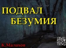 обложка аудиокниги Подвал безумия