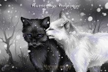 обложка аудиокниги Чистое озеро