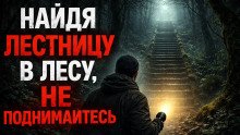 обложка аудиокниги Найдя где-то в лесу лестницу, ведущую в никуда, не поднимайтесь