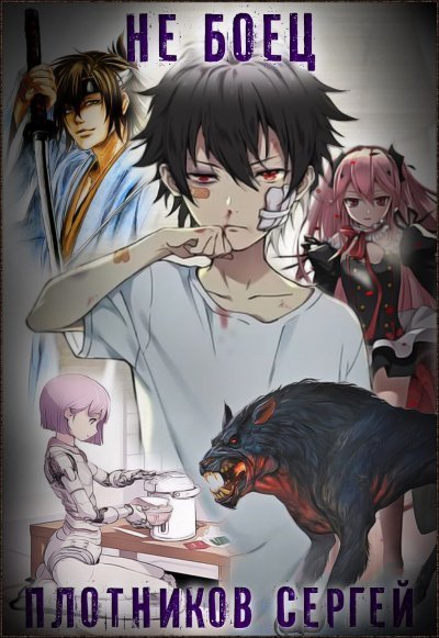 обложка аудиокниги Не Боец