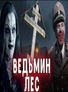 обложка аудиокниги Ведьмин лес