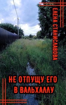 обложка аудиокниги Не отпущу его в Вальхаллу