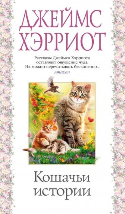 обложка аудиокниги Олли и Жулька