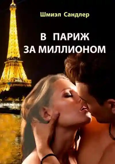 обложка аудиокниги В Париж за миллионом