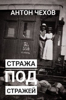 обложка аудиокниги Стража под стражей