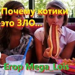 обложка аудиокниги Почему котики-это зло