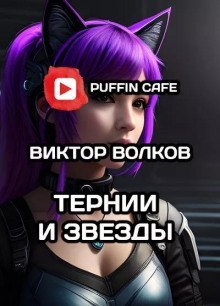 обложка аудиокниги Тернии и Звёзды