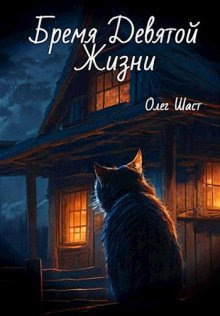 обложка аудиокниги Бремя Девятой жизни