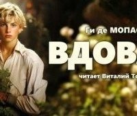 обложка аудиокниги Вдова