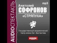 обложка аудиокниги Стряпуха