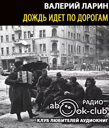 обложка аудиокниги Дождь идет по дороге