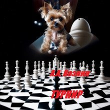 обложка аудиокниги Турнир