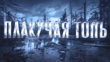 обложка аудиокниги Плакучая Топь