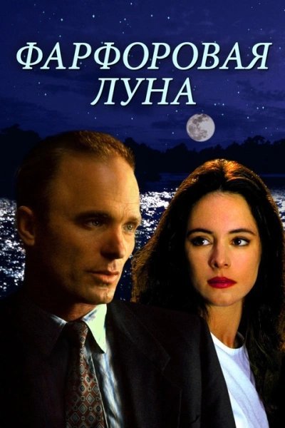 обложка аудиокниги Фарфоровая луна