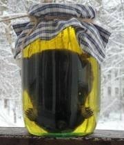 обложка аудиокниги Кротовуха