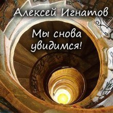 обложка аудиокниги Мы снова увидимся!